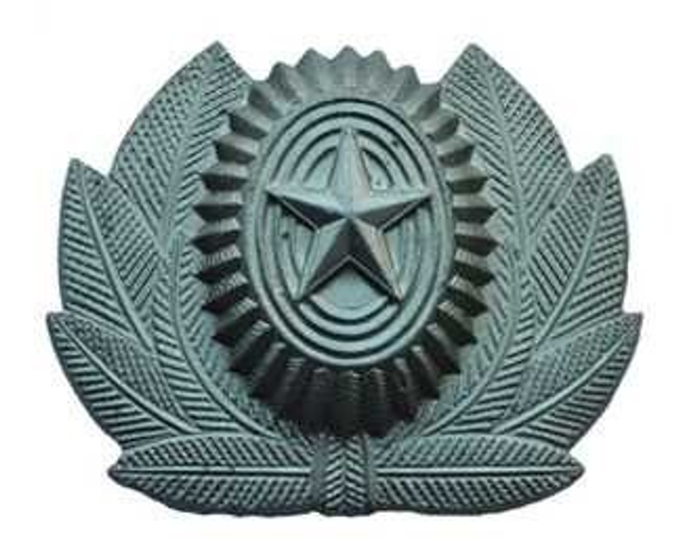 Кокарда РА большая защитного цвета