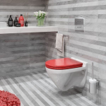 УНИТАЗ ПОДВЕСНОЙ SANITA LUXE ATTICA COLOR RED