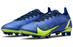 Кроссовки Nike Mercurial Vapor 14 14 Elite Ag