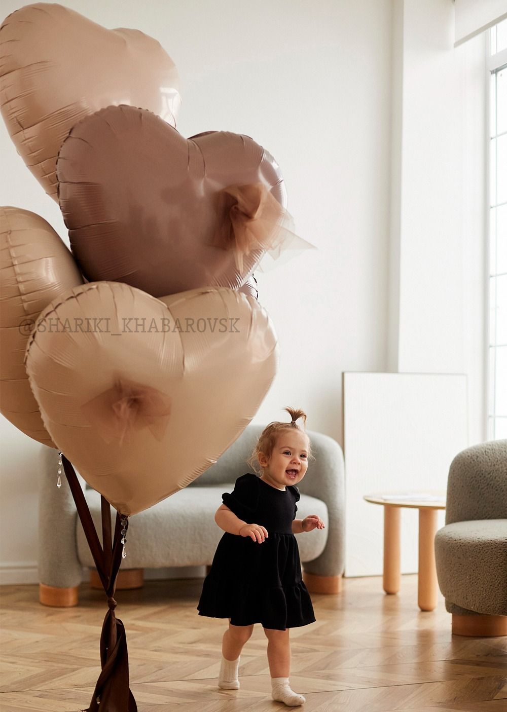 Воздушные шары №6231 