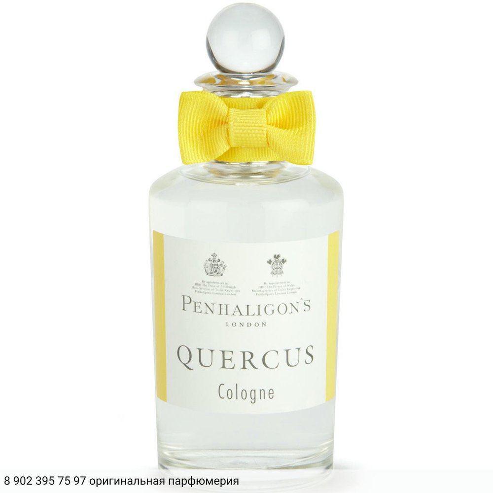 Quercus