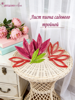 Лист пиона садового тройной