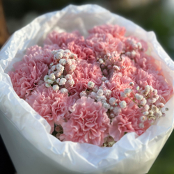 Букет цветов из 15 Диантусов с гипсофилой