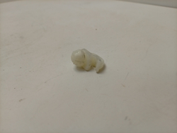 WLF24271CE/02 кт31 Фиксатор передней крышки стиральной машины Bosch б/у