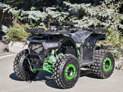 Квадроцикл RMOTO Lion 125AR Lite