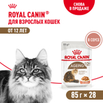Royal Canin Ageing 12+ Эйджинг Корм влажный для взрослых кошек в возрасте старше 12 лет соус 85г