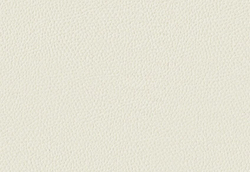 Микрофибра Montana (Монтана) 10