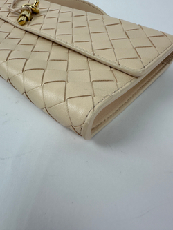 Сумка Bottega Veneta Andiamo