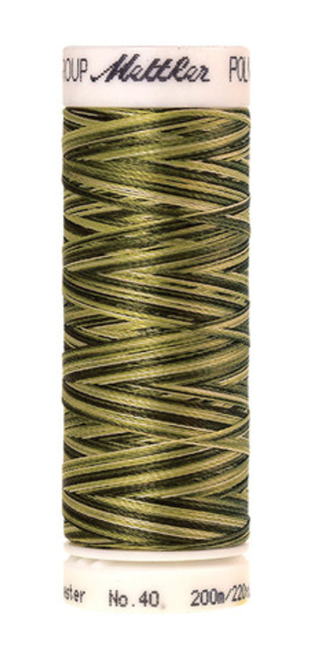 Нить POLY SHEEN MULTI 200m п\э № 40 col.9976