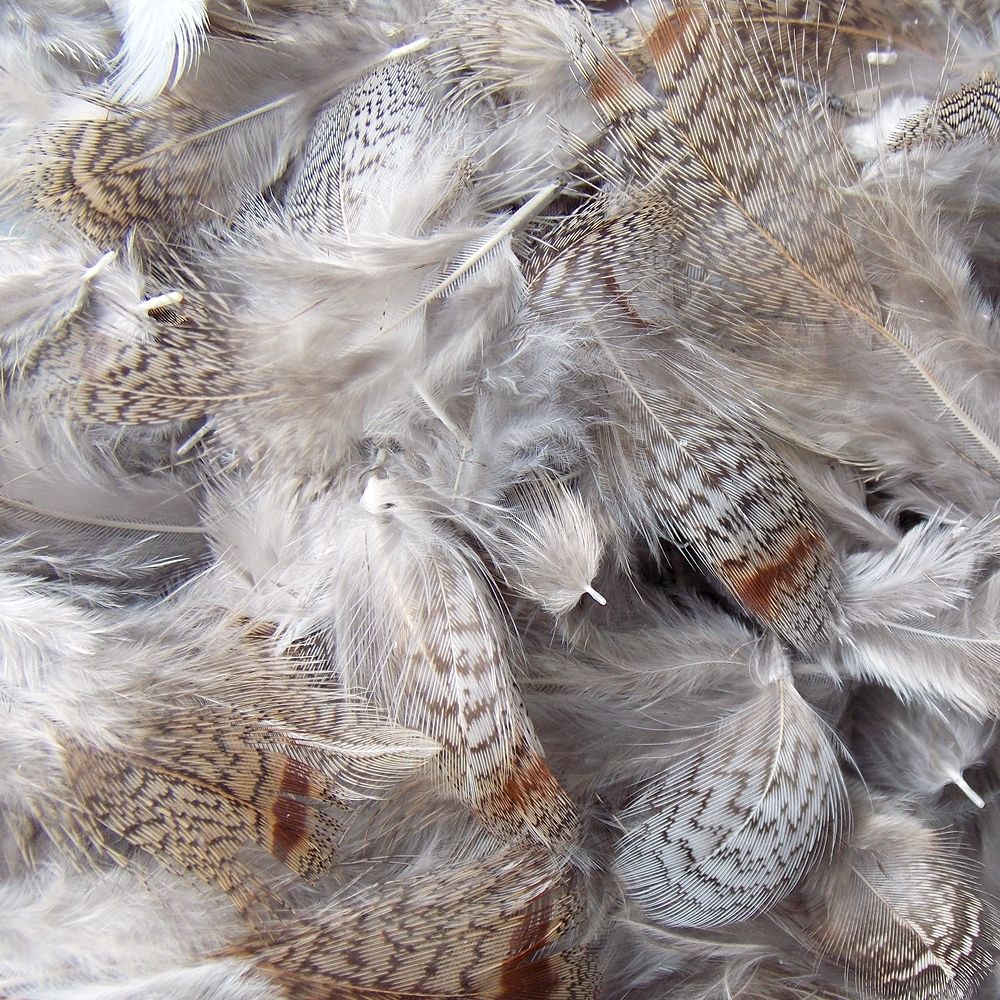 HARELINE Перья куропатки PREMIUM HUNGARIAN PARTRIDGE FEATHERS