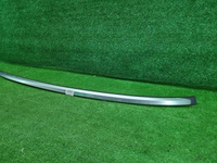 Рейлинг левый Haval F7 1 (2018-2024)