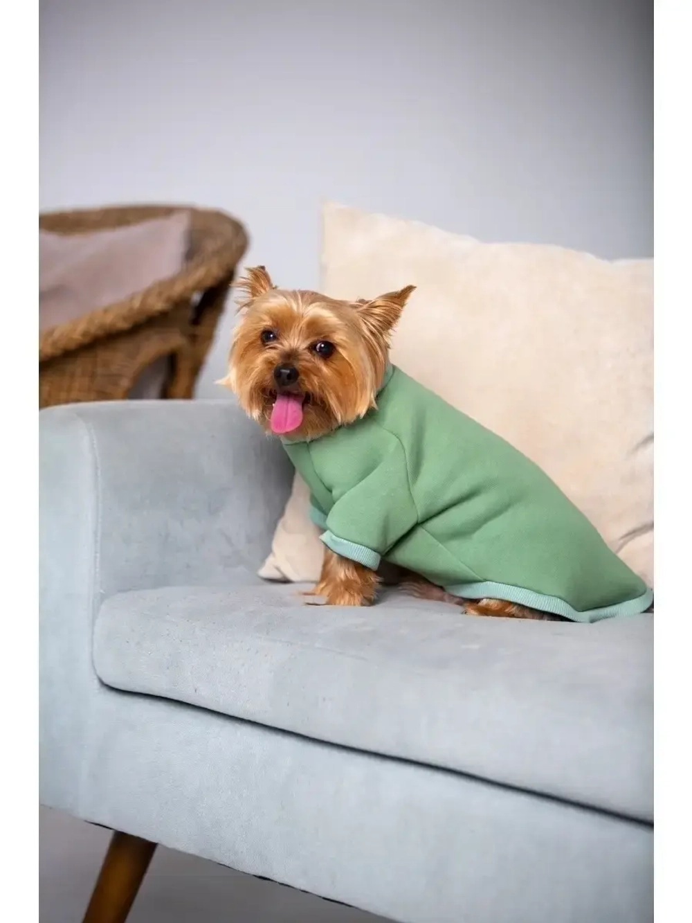 Толстовка худи кофта свитер для собак кошек и  животных