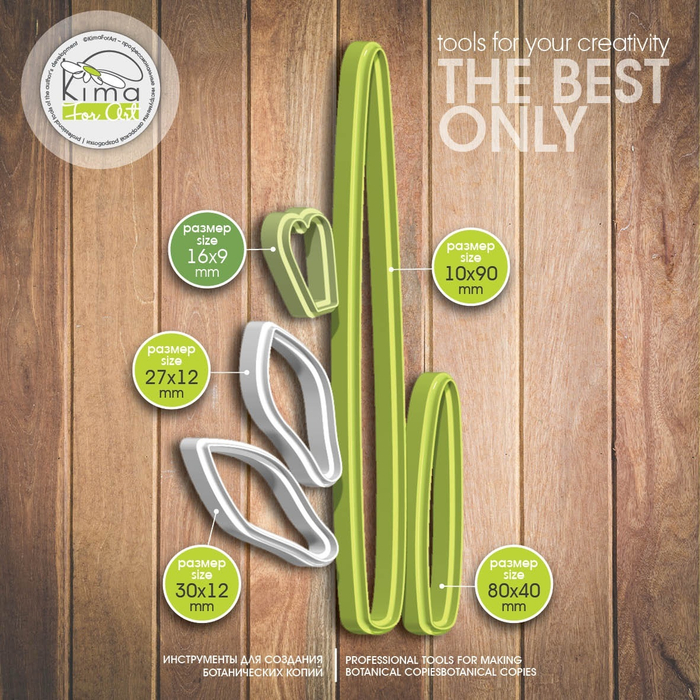 Подснежник лепестки и лист