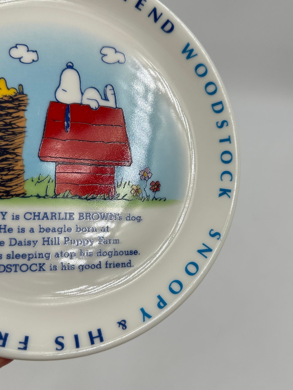 Тарелка Snoopy & His Friend Woodstock