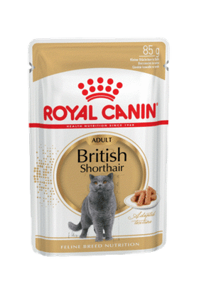Роял Канин Adult британская кошка/соус 85гр.