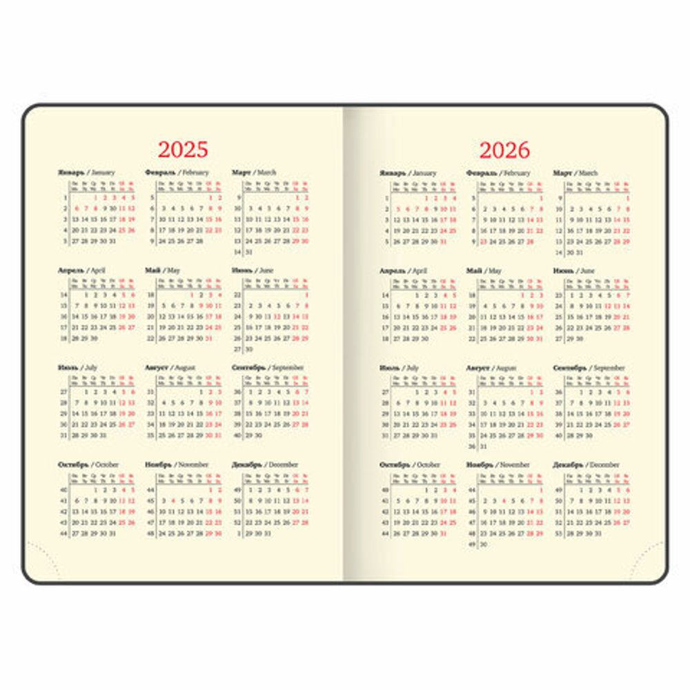 Ежедневник датированный 2025, А5, 138x213 мм, BRAUBERG "Cayman", под кожу, черный, 115772