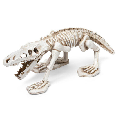 Грот "Ископаемый крокодил", 185*90*75мм, Laguna AQUA