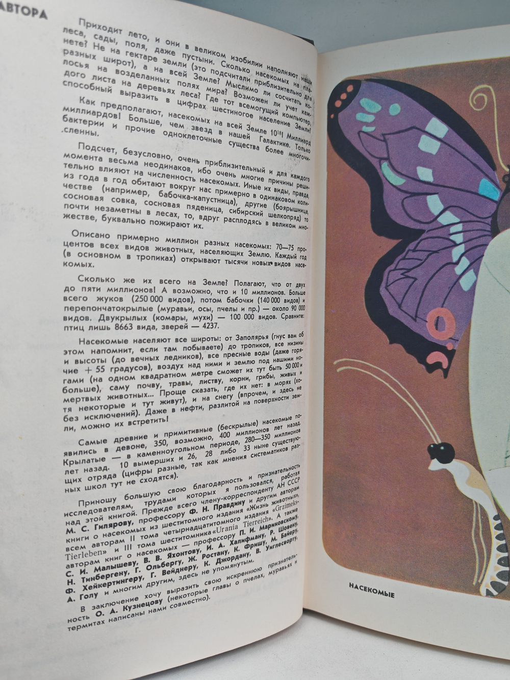 Мир животных. Рассказы о насекомых