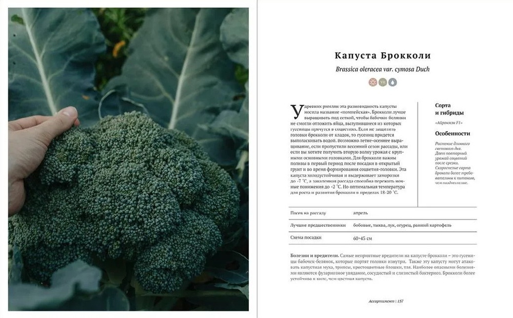 Potager. Стиль практичных садов
