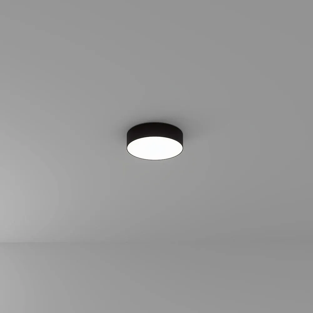 Потолочный светильник Arte Lamp FADO