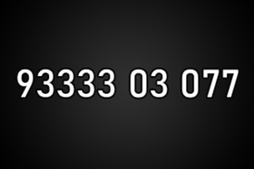 9333303077