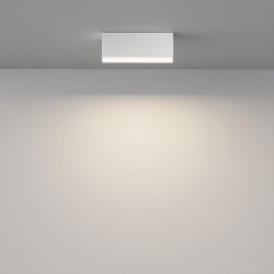 Накладной светильник Maytoni Basis C068CL-12W3-6K-W