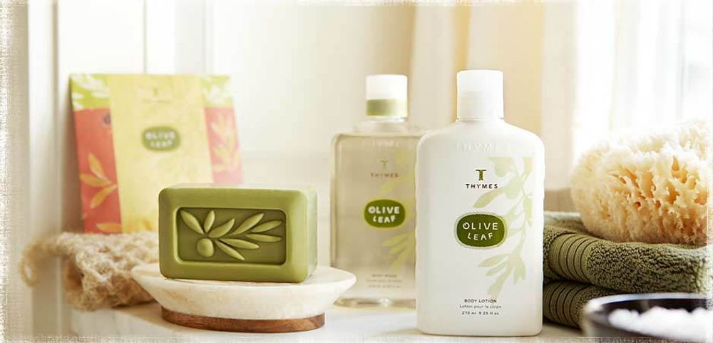 Thymes Olive Leaf