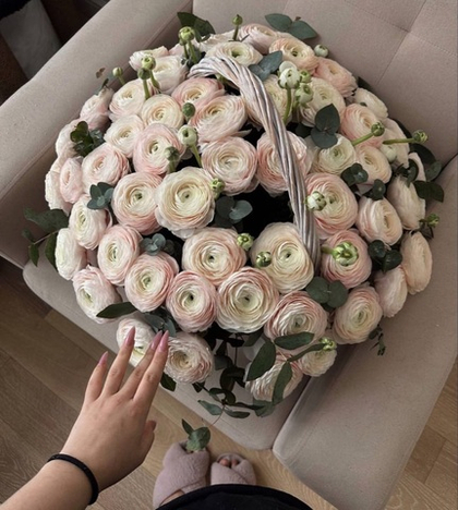 85 ранукулюсов с эвкаплитом