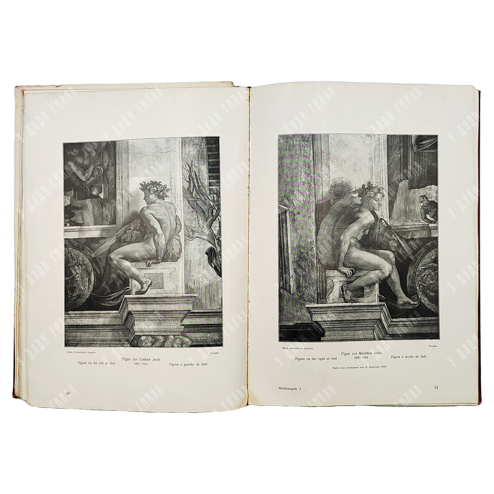 [Микеланджело. Работы мастера: в 166 иллюстрациях] Knapp F. Michelangelo Des Meisters Werke, 1906.