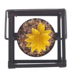 GAEM Цветочная композиция "Суккулент", L8,5 W8,5 H10,5 см