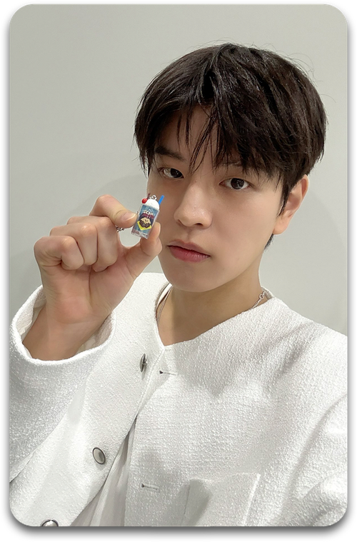 Карта / STRAY KIDS #2633