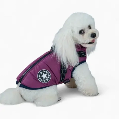 Жилетка «Fashion Star»