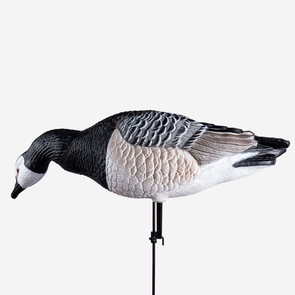 Белощекая казарка Duck Mania "ELITE"