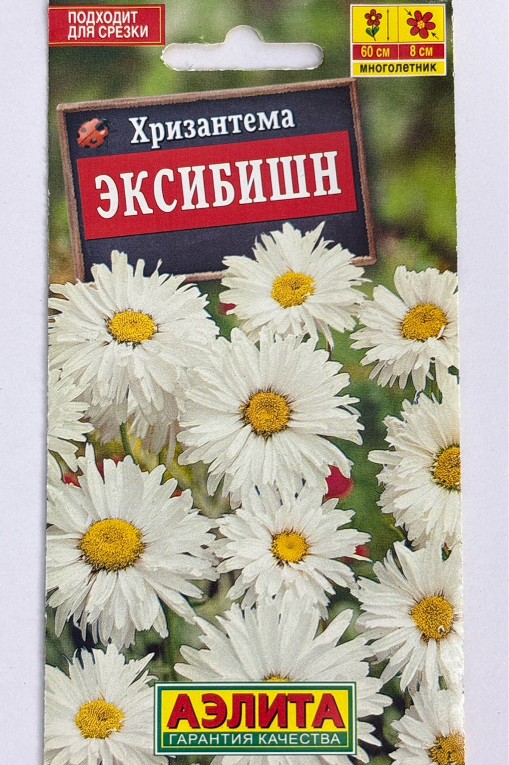 Хризантема Эксибишн СМЦ-337