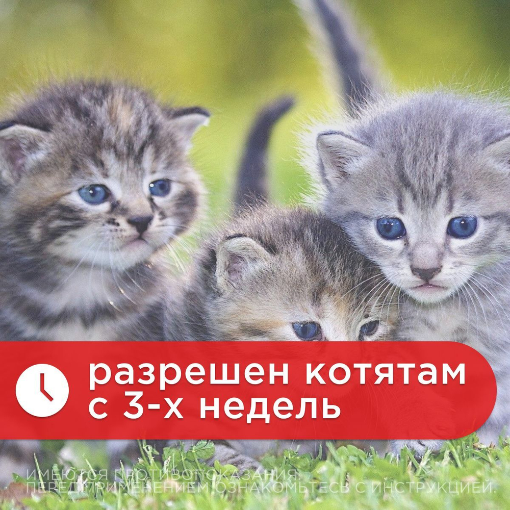 Суспензия для котят от гельминтов и лямблий Празицид Плюс APICENNA, 5мл. Фебантел/Пирантел/ Празиквантел