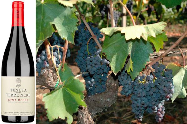 Вино недели c 24 июля - Tenuta delle Terre Nerre Etna Rosso