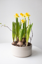 Композиция с первоцветами в вазе размер M