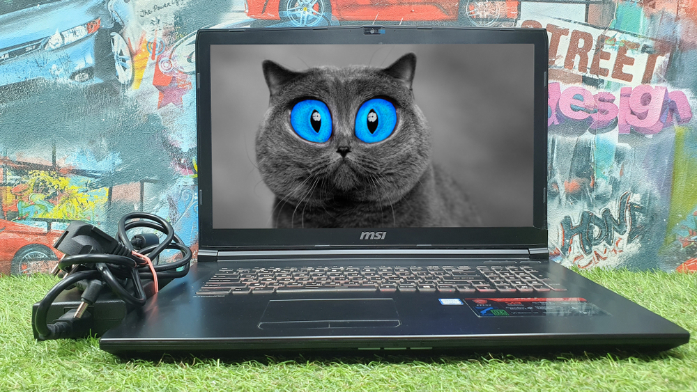 Игровой 17" MSI i7-7/32 Gb/GTX 1060 3 Gb/FHD 120Гц, 9S7-179BB3-478