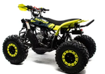 Квадроцикл MOTOLAND (МОТОЛЕНД) 125 RAPTOR A