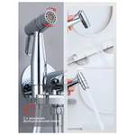 Гигиенический душ со смесителем встраиваемый Raglo R20.54, хром