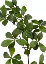 Баньяновое дерево ветвь 220 см без кашпо