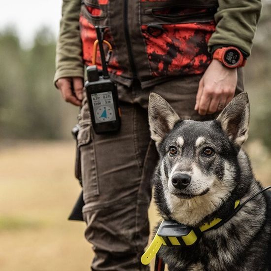 Навигатор Garmin Alpha 200