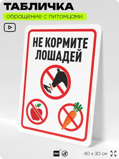 Табличка "Не кормите лошадей" на дверь и забор, для конюшни, фермы, деревни, 40х30 см, Silver Plane x Айдентика Технолоджи