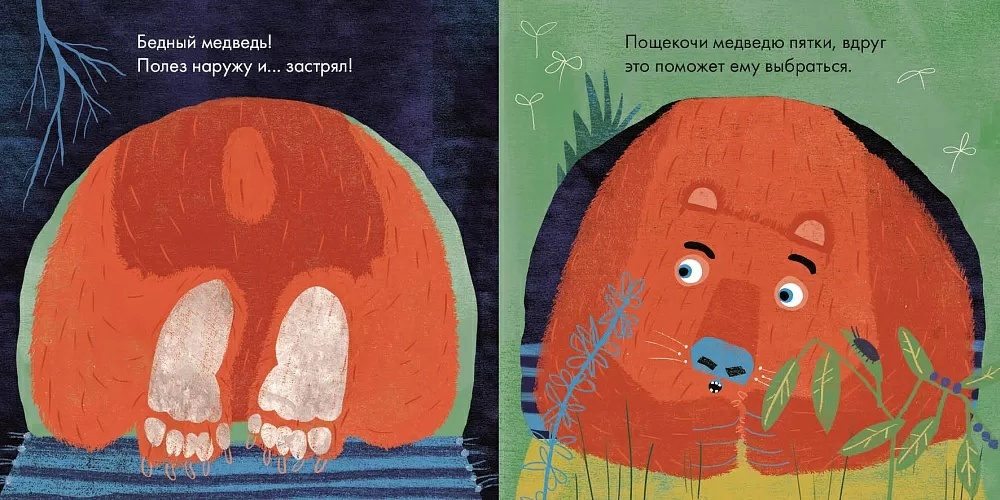 Бедный медведь