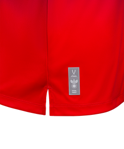 Футболка разминочная JOGEL NATIONAL PerFormDRY Pre-Match Tee, сине-красный