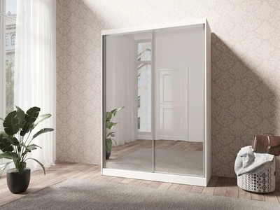 Шкаф-купе Дейция Белый Фасадный 0101  100*50*260