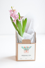 Цветущие растения в подарочной коробочке с валентикой