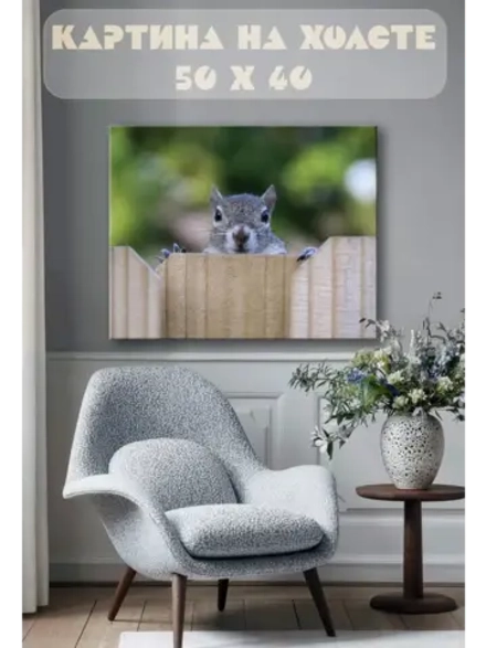 Картина на стену 40 X 50 Белка
