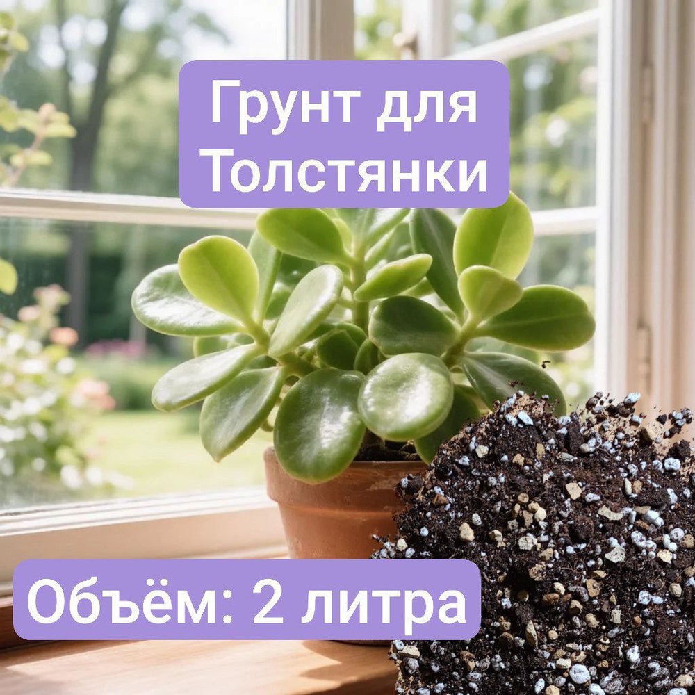 Авторский грунт для Толстянки 2 литра универсальный грунт 2 литра