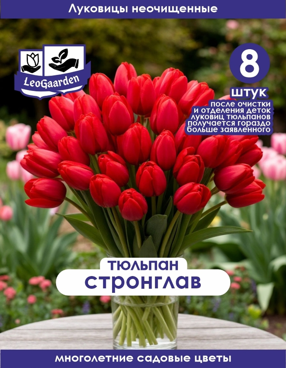 Тюльпан Луковица, Стронг Лав 8+ шт